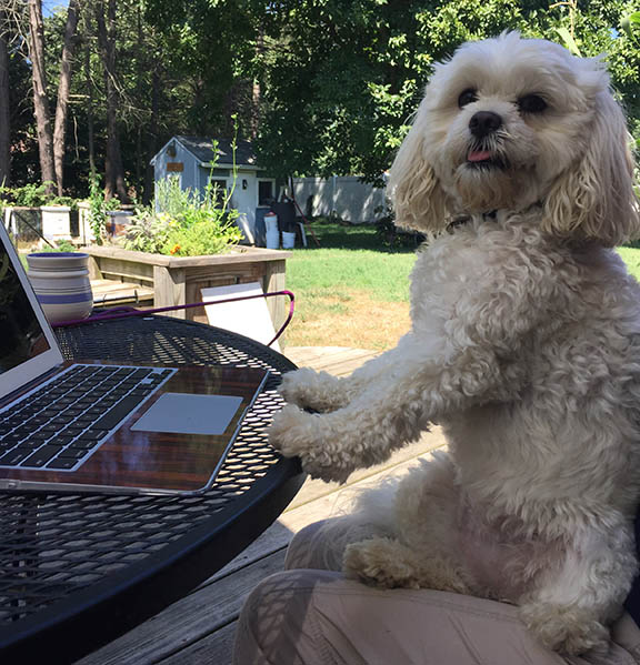 Happy laptop