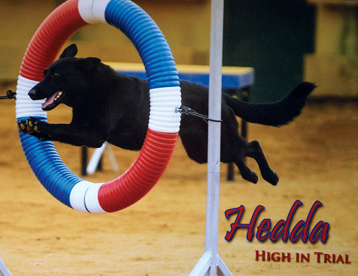 hedda tire jump