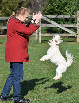 Happy jump
