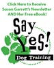Say Yes Dog Training