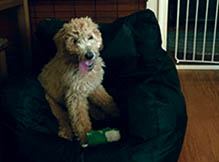 baxter