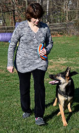 Susan Greenholt
